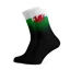 Sox - Wales Flag Socks